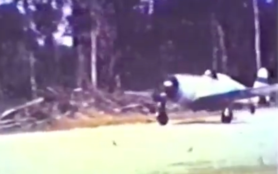 90th Fighter Squadron, The  Burma Banshees Bridge Busting